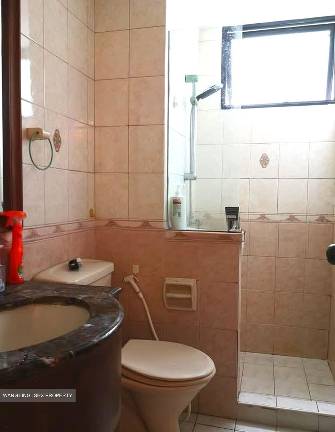 Simei Green Condominium (D18), Condominium #583013001